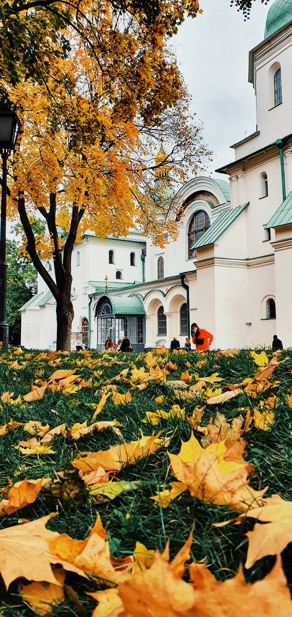 Особливе місце 💙💛❤️🍁🇺🇦