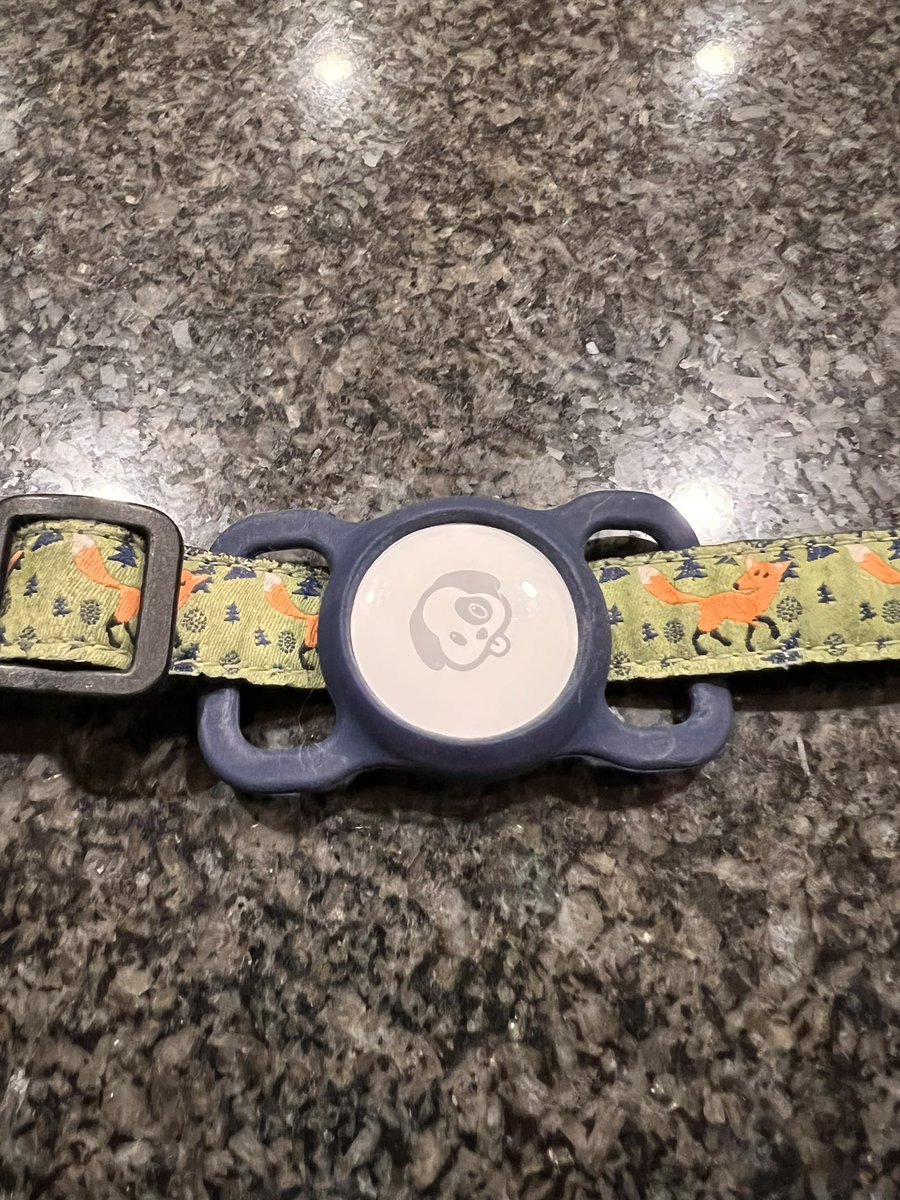 44wheels's tweet photo. @stumplyboy @surfensusie @steeletalk You can get this holder from Amazon for $8 and the AirTag fits perfectly. I have a small 10 pound dog and have peace of mind in case he ever does get lost or stolen. It doesn’t bother him at all. https://t.co/hLVtei2Fhl