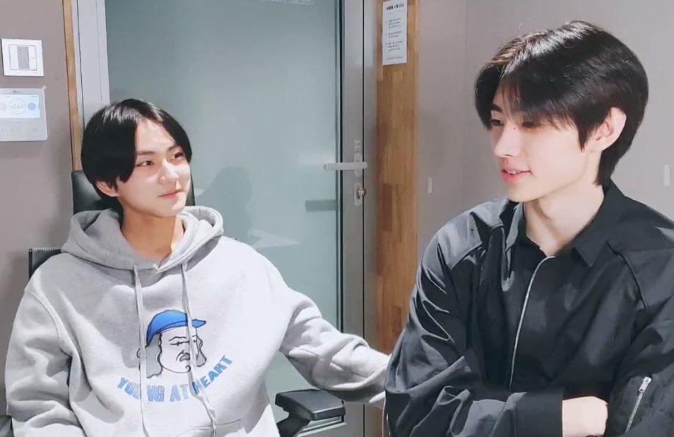 ไม่ใช่แมวแล้วครับ