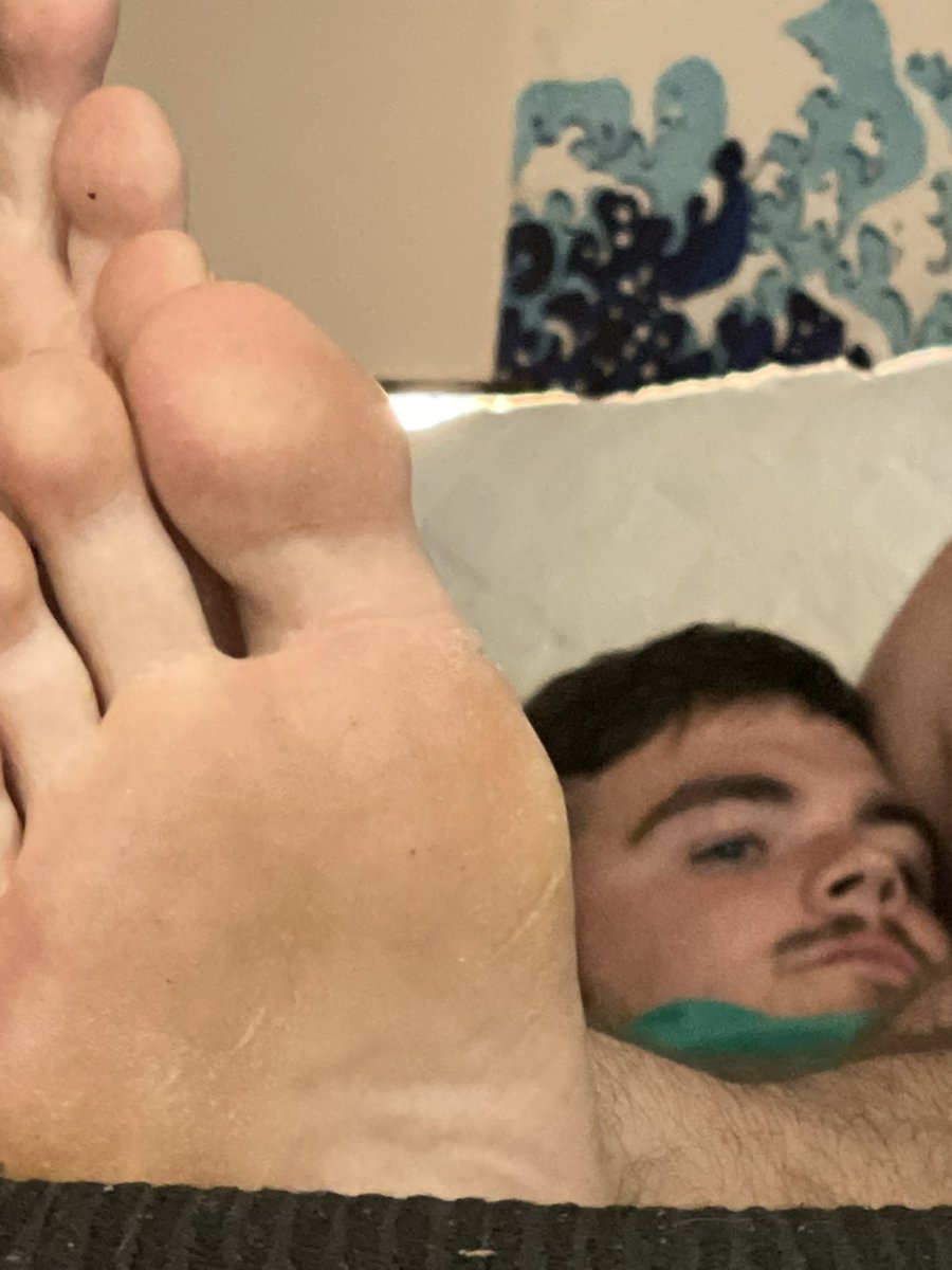 Will Harper tweet media