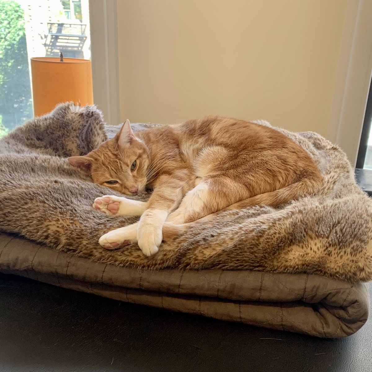 Yo yo yooooo. Naptime, bitchessss!