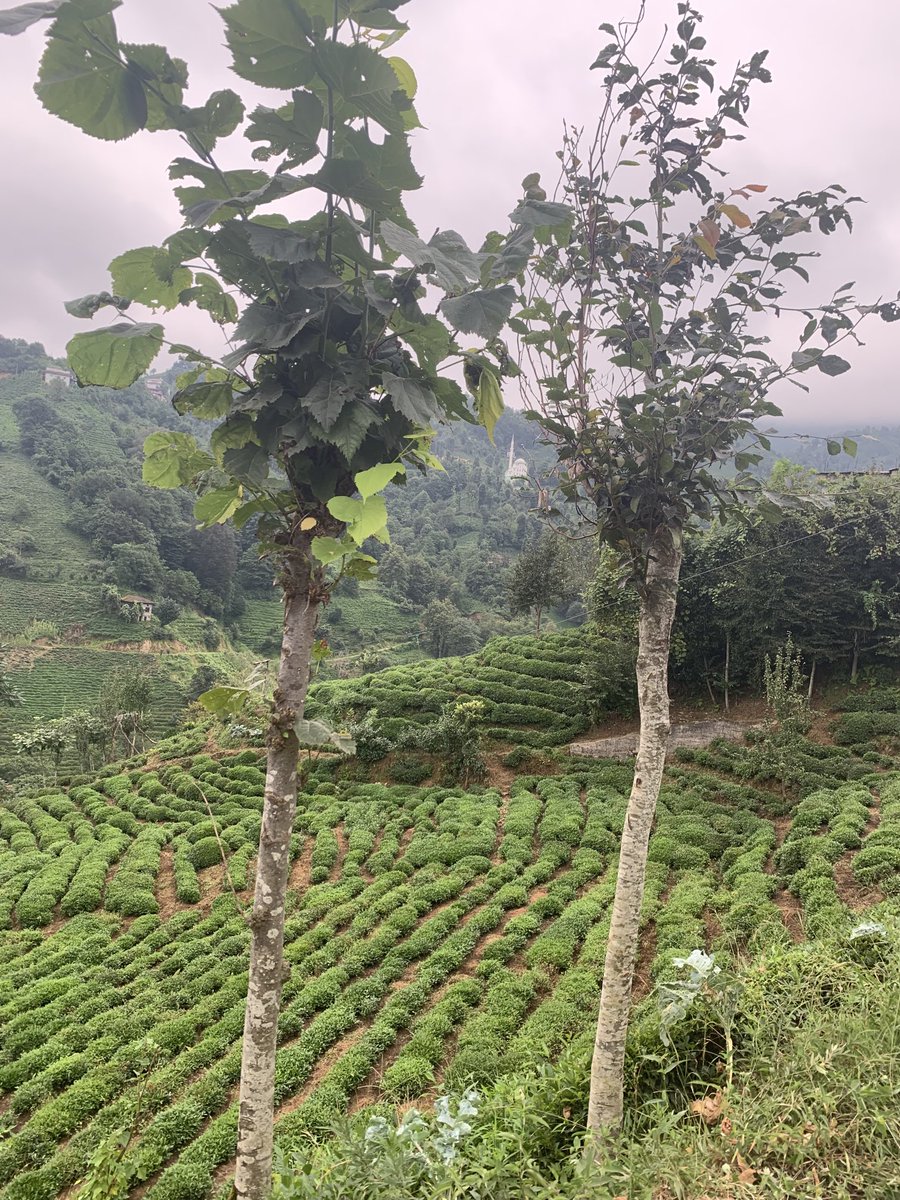 💚
'
اللهم أرزقنا ذكرك عند كل غفلة وشكرك عند كل نعمة 🤲🏼 

#Riza
           #صبــــاح_الخير 🌿