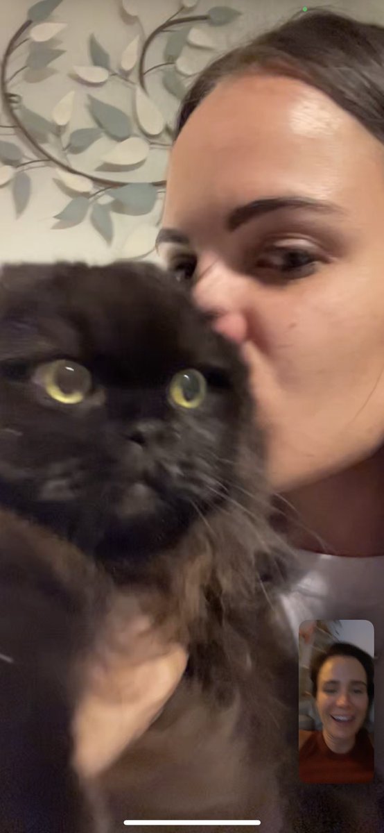 perezdidi's tweet photo. A very VERY good news update. He’s home ❤️ https://t.co/no4cjs9fDa