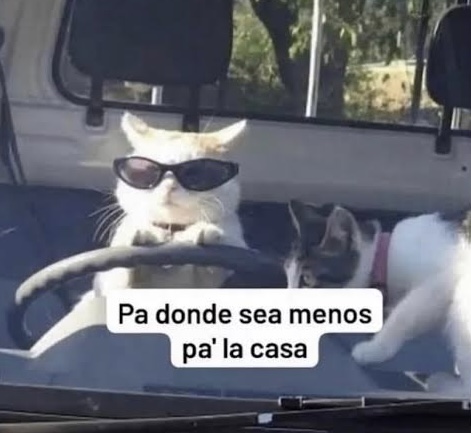 Yo y mi compa a las 6:00am todos amanecimos y enfiestados.