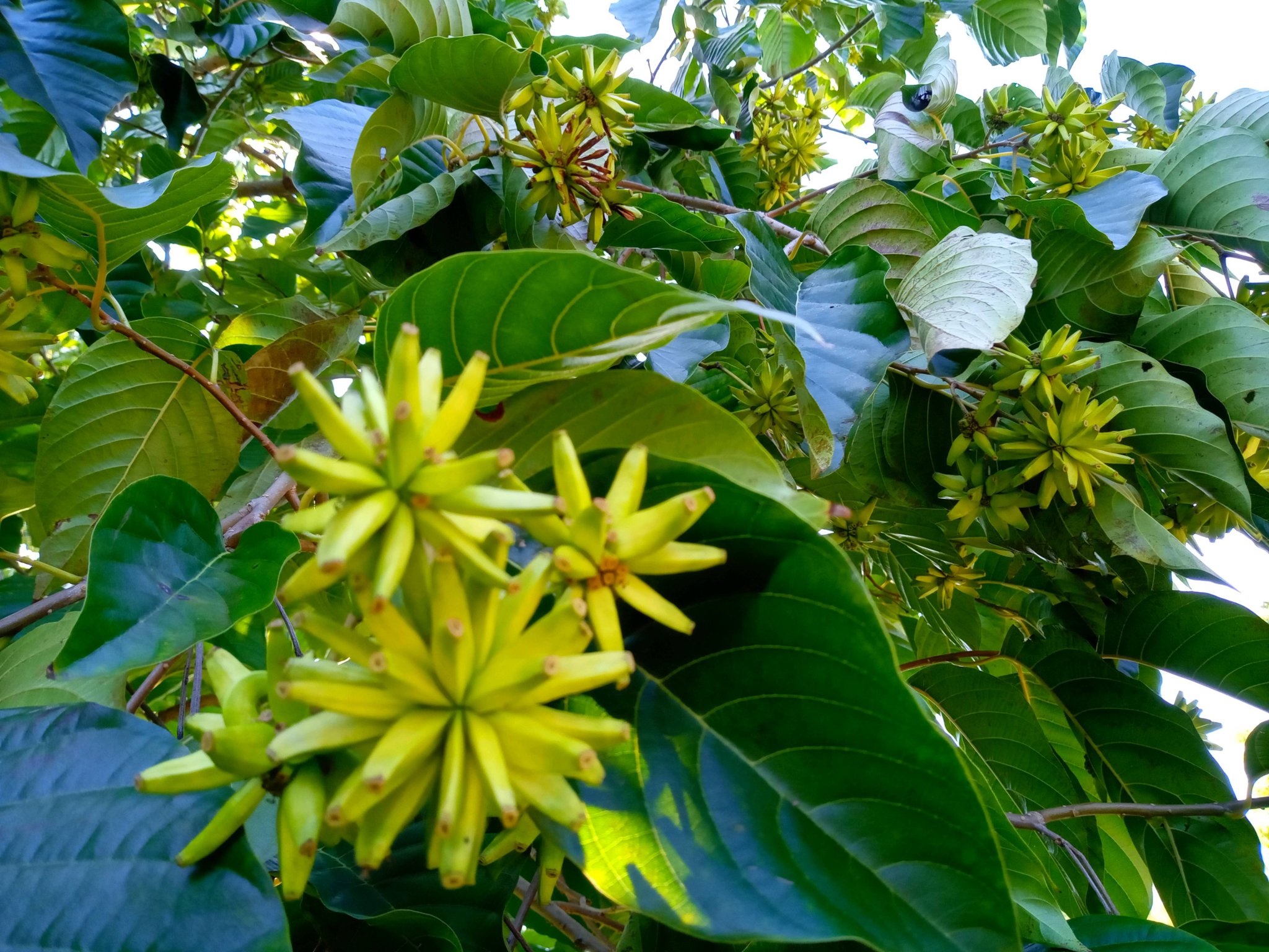 2025 (VL6YfyIqNOrqC5f) / Twitter