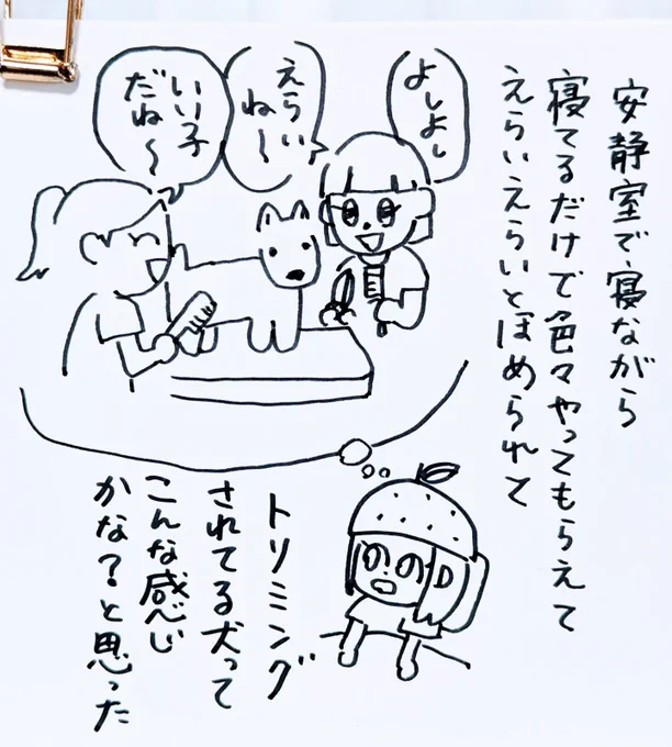大腸がん検診日記④
体は弱いがラックが高い!!!それがハッピーゼリーポンチ!!!!! 
