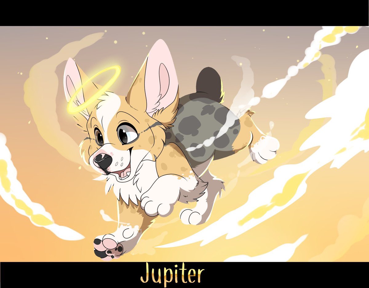 ilovecorgis's tweet photo. Mind you my dog just passed away and I just wanted to make some art friends because I was morning Jupiter…I DID NOT want to be involved with Fens personal drama and conflict since I was very depressed about my baby #RipJupiter https://t.co/f8ROlHKq9A