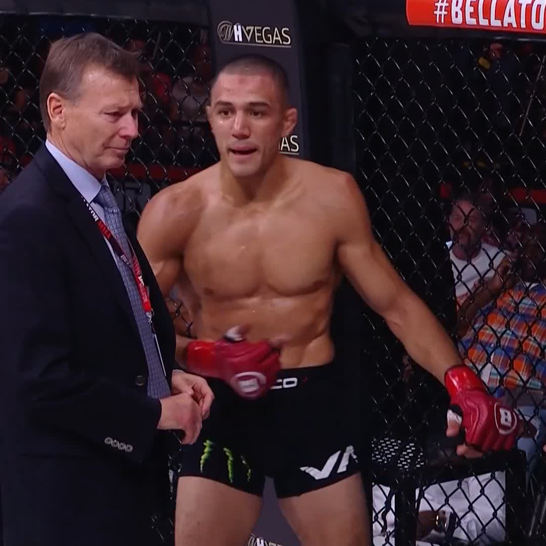 BellatorMMA on Twitter "The referee waves off the fight with