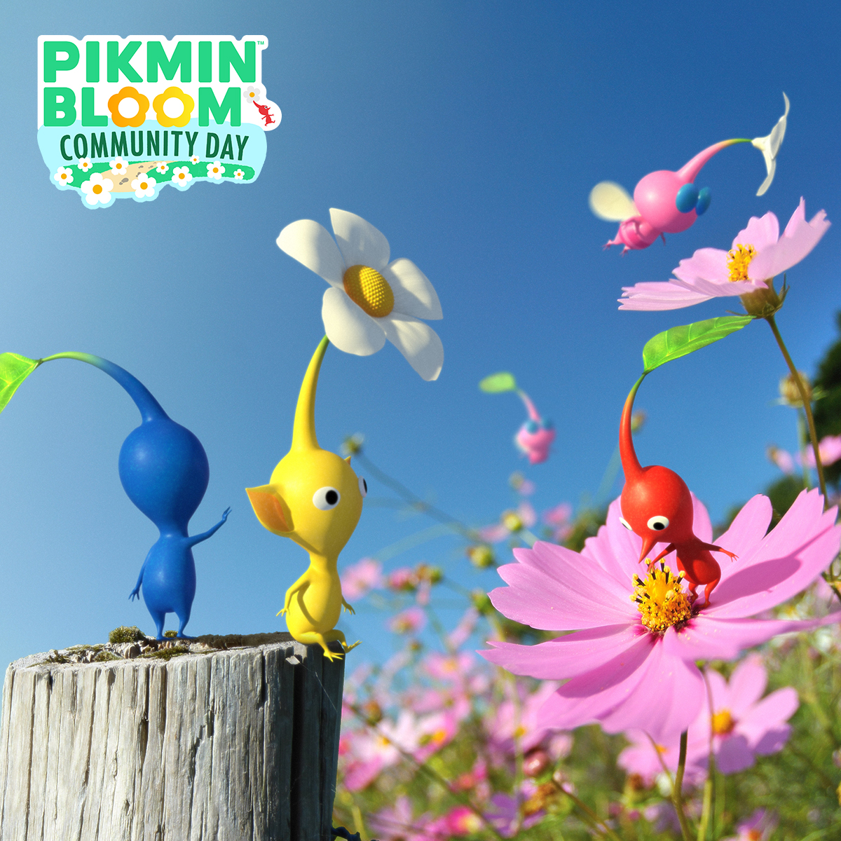 Pikmin Bloom Japan 10 15 土 コミュニティデイ 開催 今回はビッグフラワーから コスモス が咲きます 秋を代表する花を咲かせに ピクミンと1万歩の旅 に出かけましょう 詳細はコチラから T Co 54vaarudk1 ピクミンブルーム