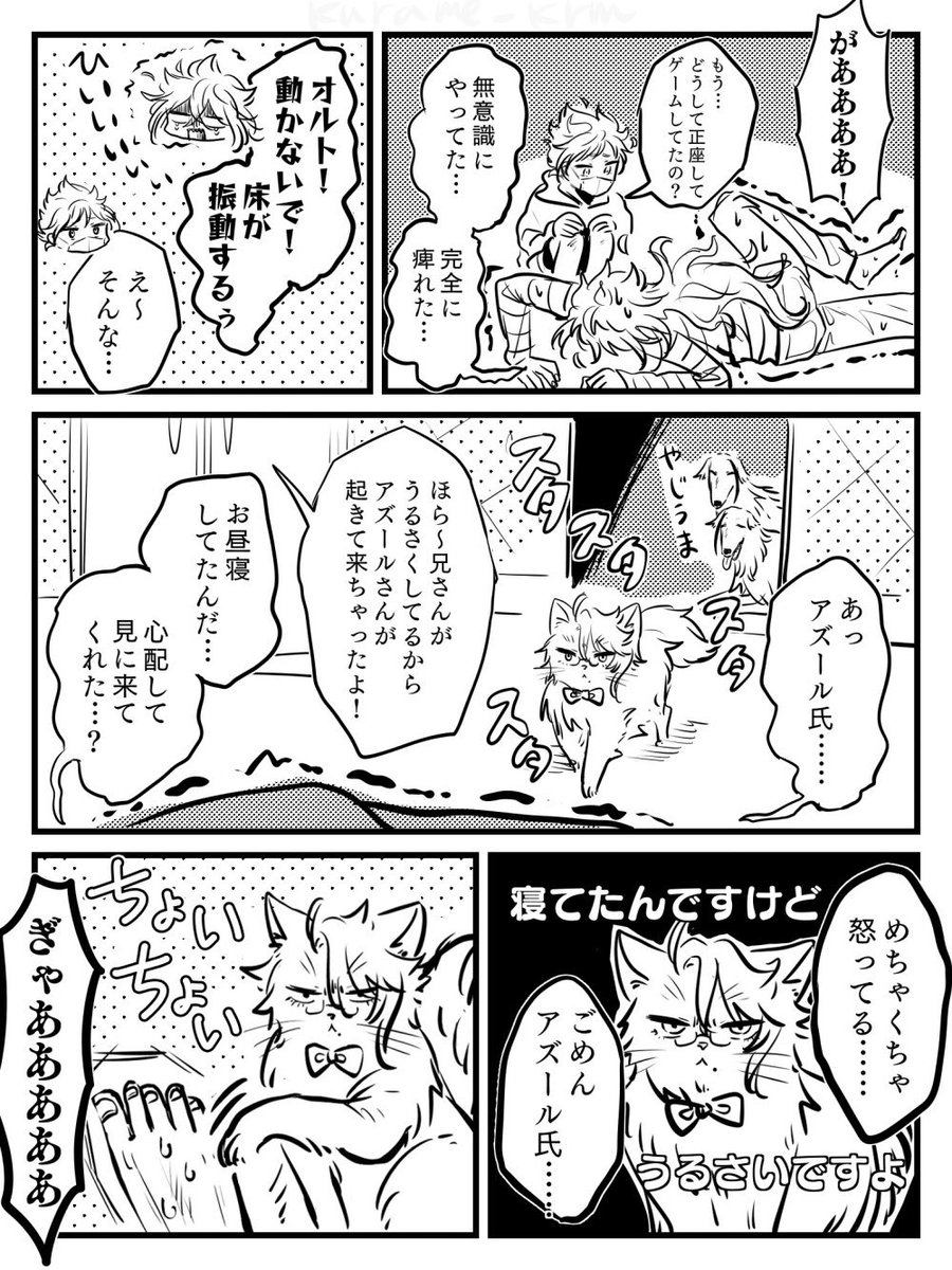 イデ屋の足に攻撃するアズ猫 