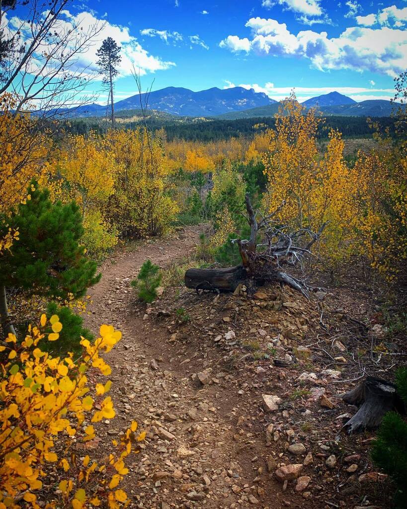 Busiest bus ride of my riding career. Nederland is on point leaf-peeping wise but damn was it crowded. If you want to see leaves, get ‘em while you can!
#nederlandcolorado #nederland #colorado #coloradolife #coloradoliving  #leafpeeping #fallcolors instagr.am/p/CjMcoCDOE7B/