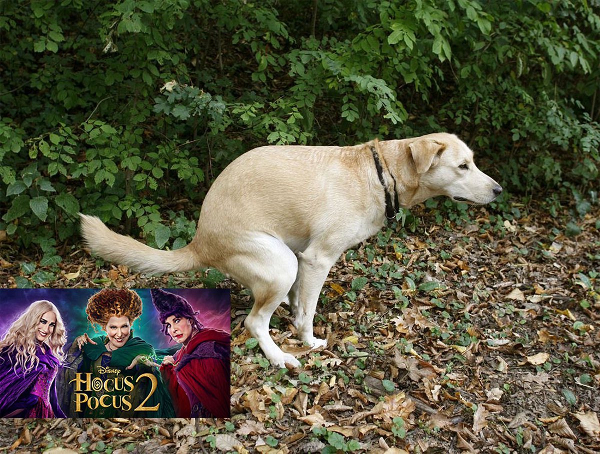 Roy Riner tweet media