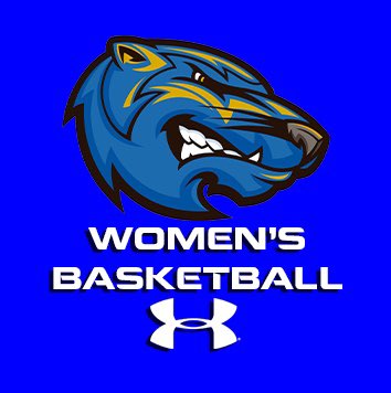 Thank you! <a href="/BresciaWBB/">Brescia Women's Basketball</a> for giving me the opportunity to tour and meet <a href="/CoachGray_BU/">Coach Mike Gray</a>