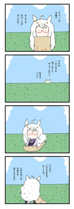 ハヤヒデサン 45 