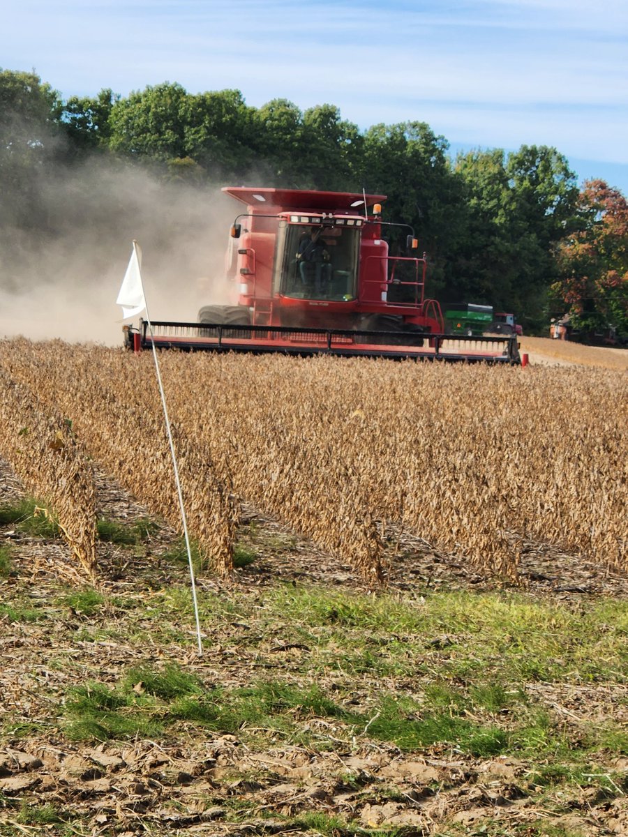 PierrePinsono's tweet photo. Time to learn about @alpinepfl foliar products. #F18Max and #K20S. https://t.co/RRQnMKBZQs