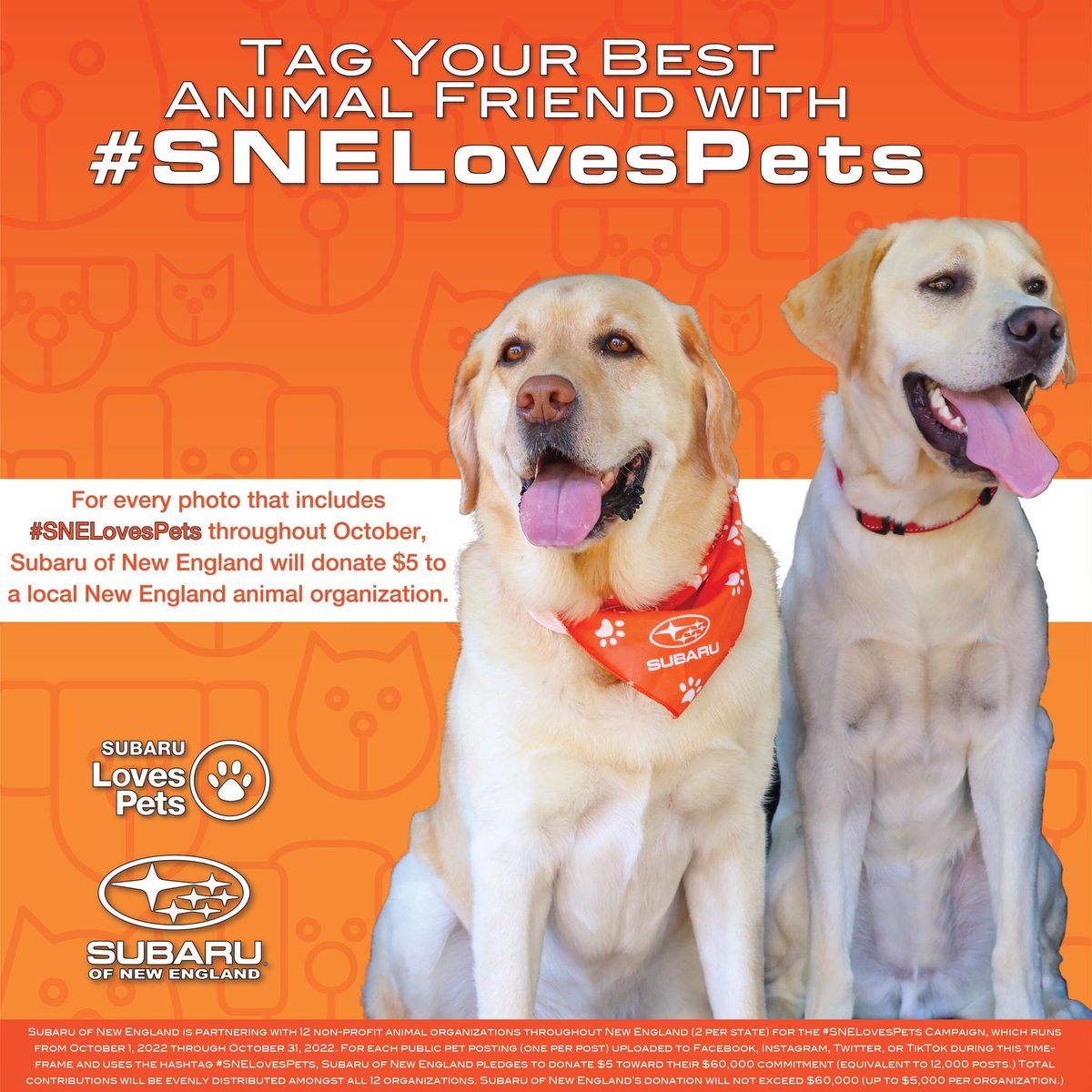 For the entire month of October <a href="/SubaruOfNewEng/">SubaruOfNewEngland</a> will donate $5 (up to $60k) to 12 New England animal shelters (including us) for every photo or video posted with #SNELovesPets. So, get ready for a month of adorable photos, contests, and surprises! Start capturing and sharing 📸🐾