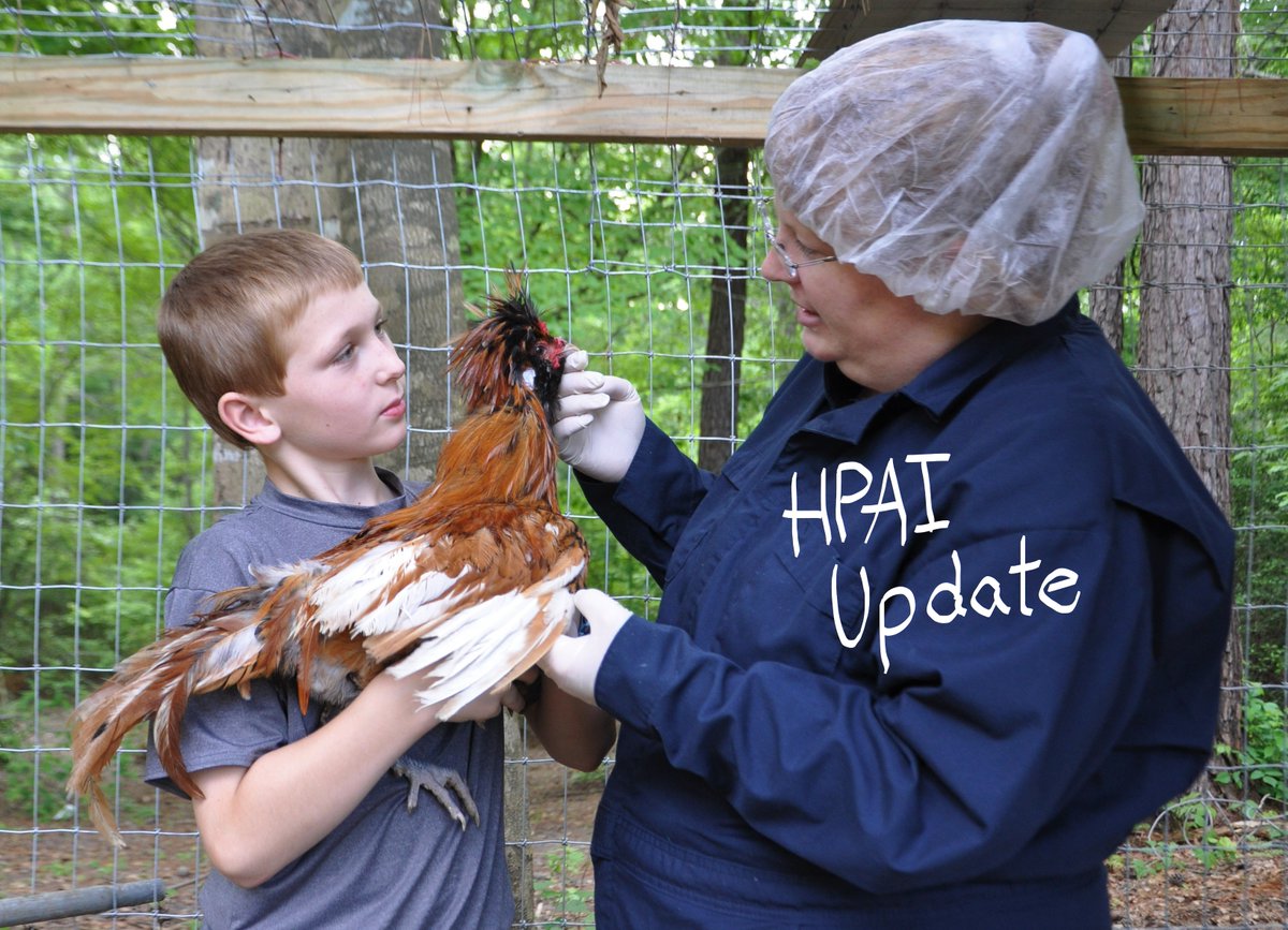 Clemson University Livestock Poultry Health tweet media