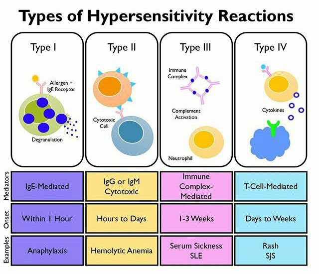 Innov_Medicine's tweet photo. Different types of hypersensitivity reactions
#MedEd #MedTwitter https://t.co/wGuDGS8Ciu