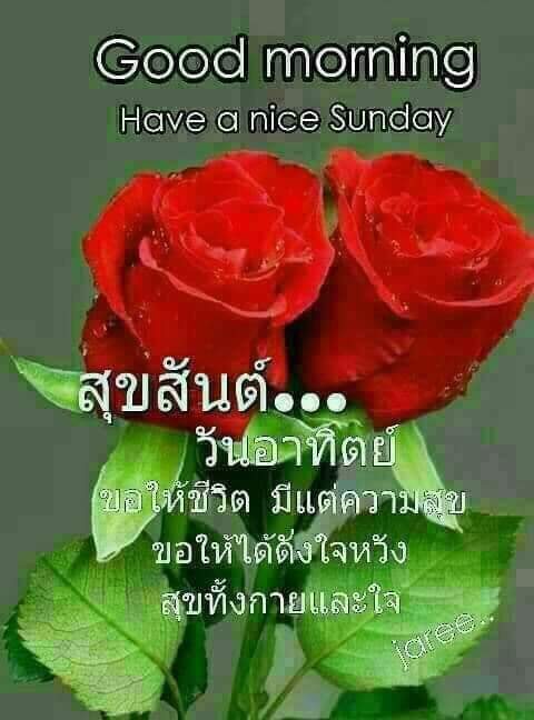 Non45084161's tweet photo. @0oynmQyMflzC2ko https://t.co/aKVPuPvSJq