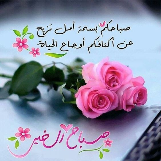 8al8l's tweet photo. #صباح_الخير

☀️

هنيئا 
لقلوب تصبح  وتمسي 🍃
لا تحمل الإ الخير
 لكل الناس 🕊 https://t.co/otCk9518Q2