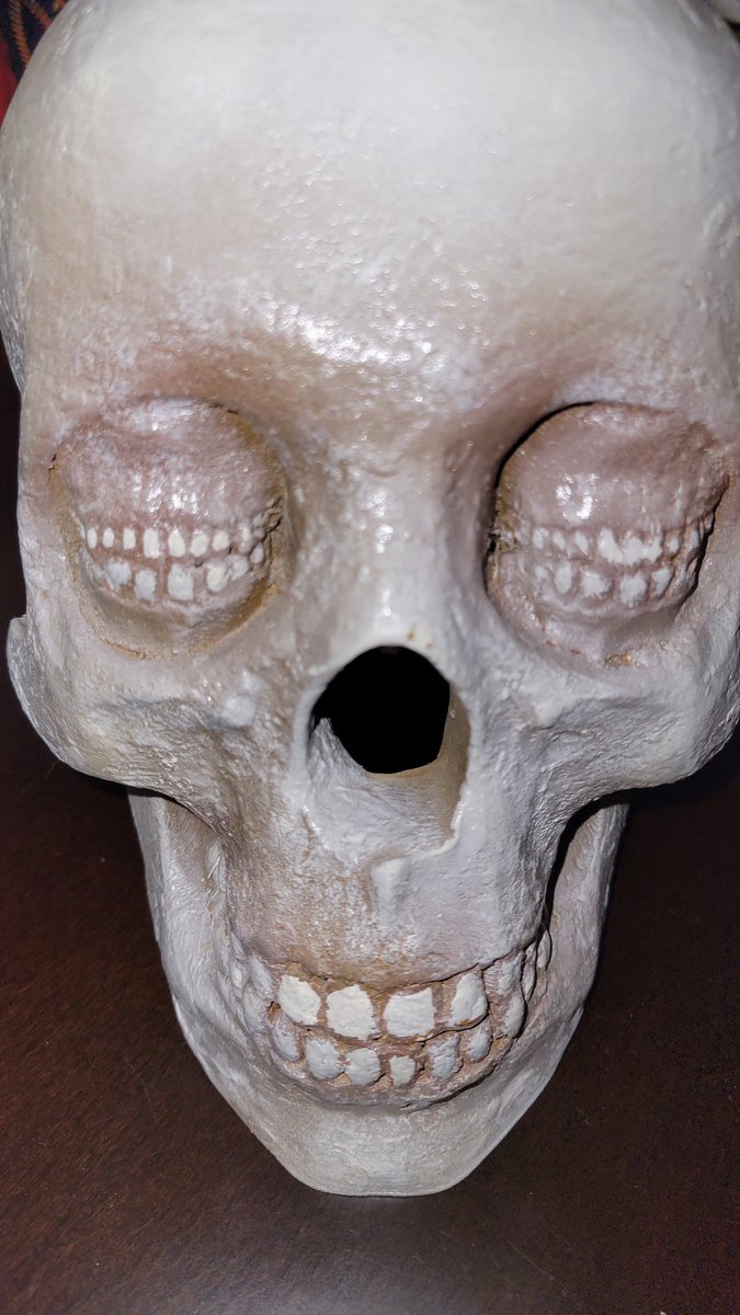 The_Ken_Spawn's tweet photo. Triple October 1st Epicness! (3/3)
Had a Killer afternoon with one of my favorite artists and human beings @uncouthRooth βοΈ
Picked up some sick #DodgeComic Kickstarter OA and Rooth Cover comics! π
Mike also gifted me this wicked-ass Corinthian Skull!
SO Fuckin RAD!! π€ππ€ https://t.co/wV8DTaul6P
