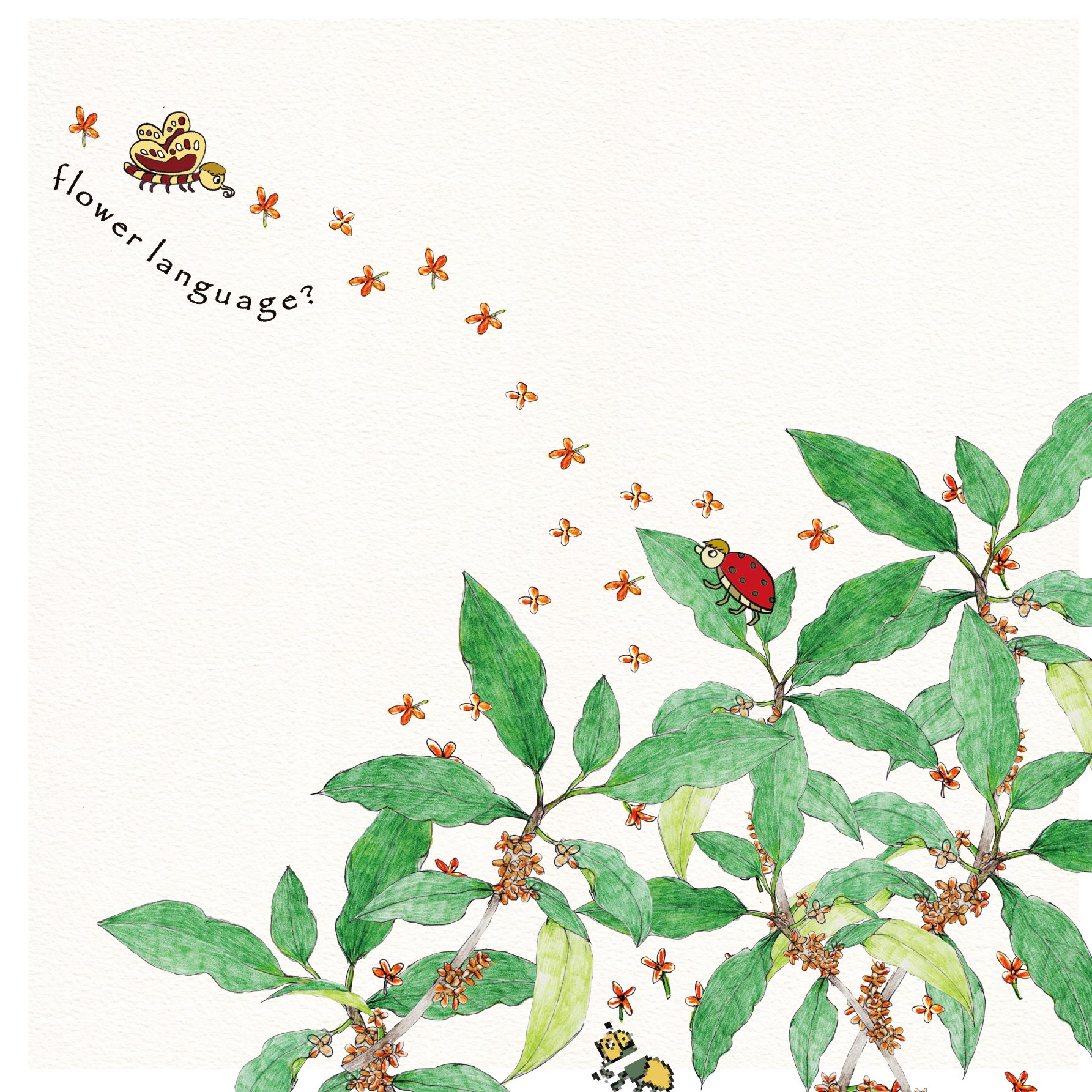 Birthflower Twitter Search Twitter