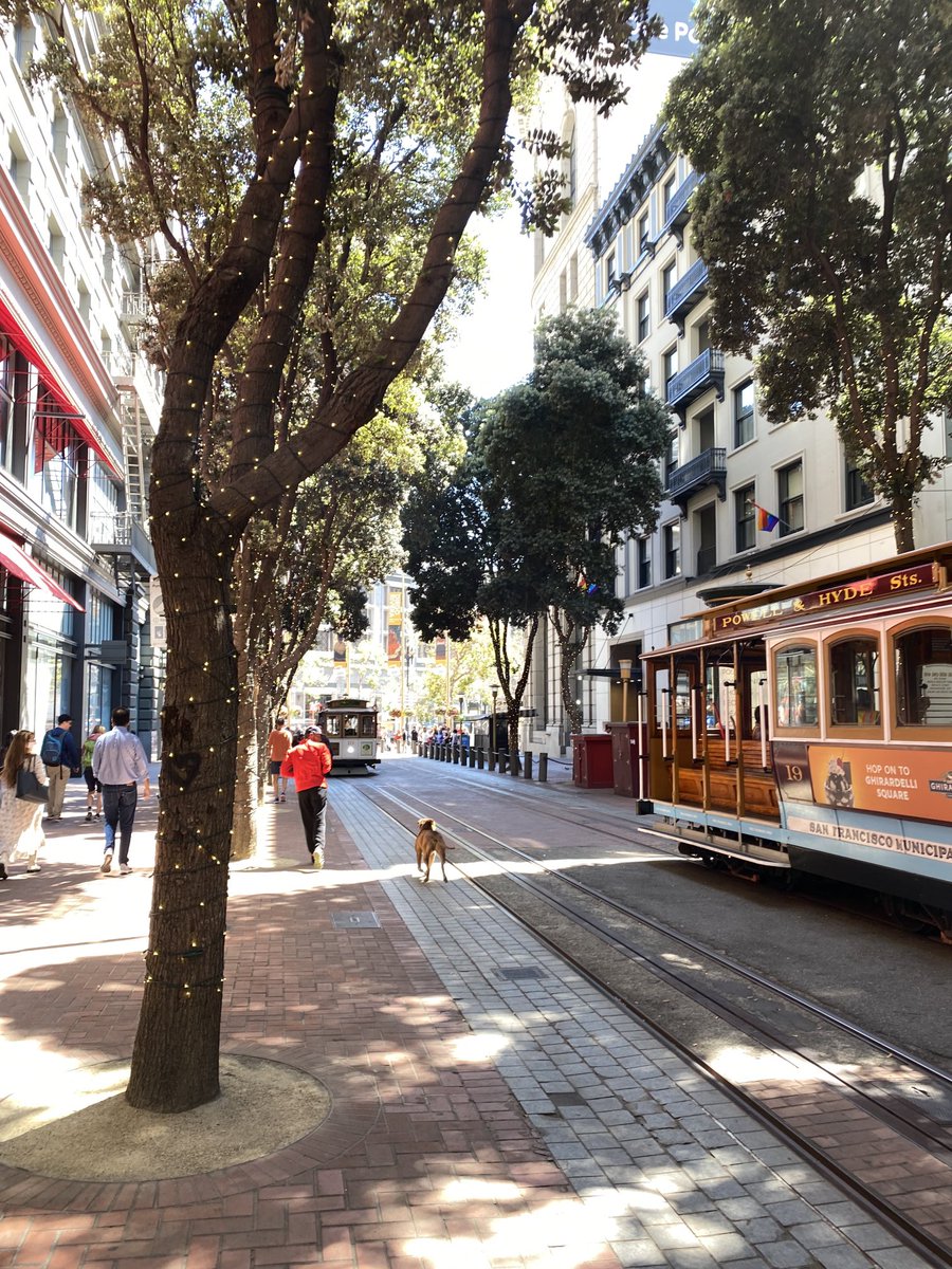 AshhadDev's tweet photo. A fine afternoon from SF streets. Wherever you’re headed this weekend, hope it’s fun🤞🏼

#sanfransisco #california #sfcablecar #potd https://t.co/UcfC4F9Gnb