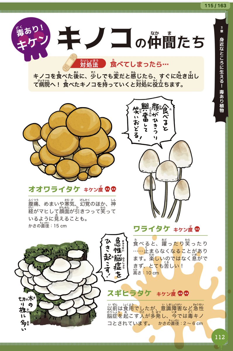 毒キノコが話題になってるので、#ちいかわ の読者の皆さんにこの本をオススメしたい。

#すごい毒の生きもの図鑑
https://t.co/kFQVoOHB1K

生きもの図鑑と言いながら、植物やキノコが全体の三分の一を占めます。 
