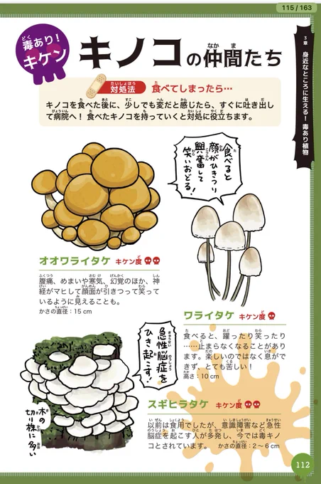 毒キノコが話題になってるので、#ちいかわ の読者の皆さんにこの本をオススメしたい。

#すごい毒の生きもの図鑑
https://t.co/kFQVoOHB1K

生きもの図鑑と言いながら、植物やキノコが全体の三分の一を占めます。 