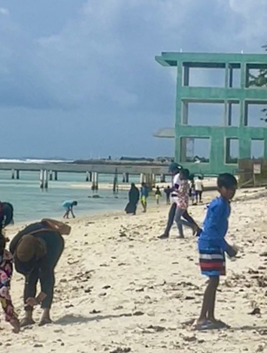 Nurdle hunt by <a href="/alohasaazu/">Saazu_aloha 🥥</a> followed by a coral awareness session by Marine biologist Mirta Moraitis for Ghiyasuddin International School kids 
#coralawareness #nurdlehunt #greatglobalnurdlehunt <a href="/GhiyasuddinIS/">Ghiyasuddin International School</a> <a href="/MyHulhumalemv/">My Hulhumalé</a>