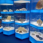 ツイートに含まれる画像