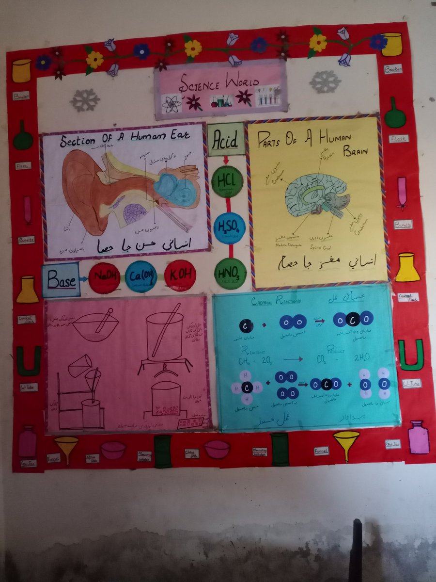 We want Regularisation from the date of appointment.
#RegularizeJestEctSindh