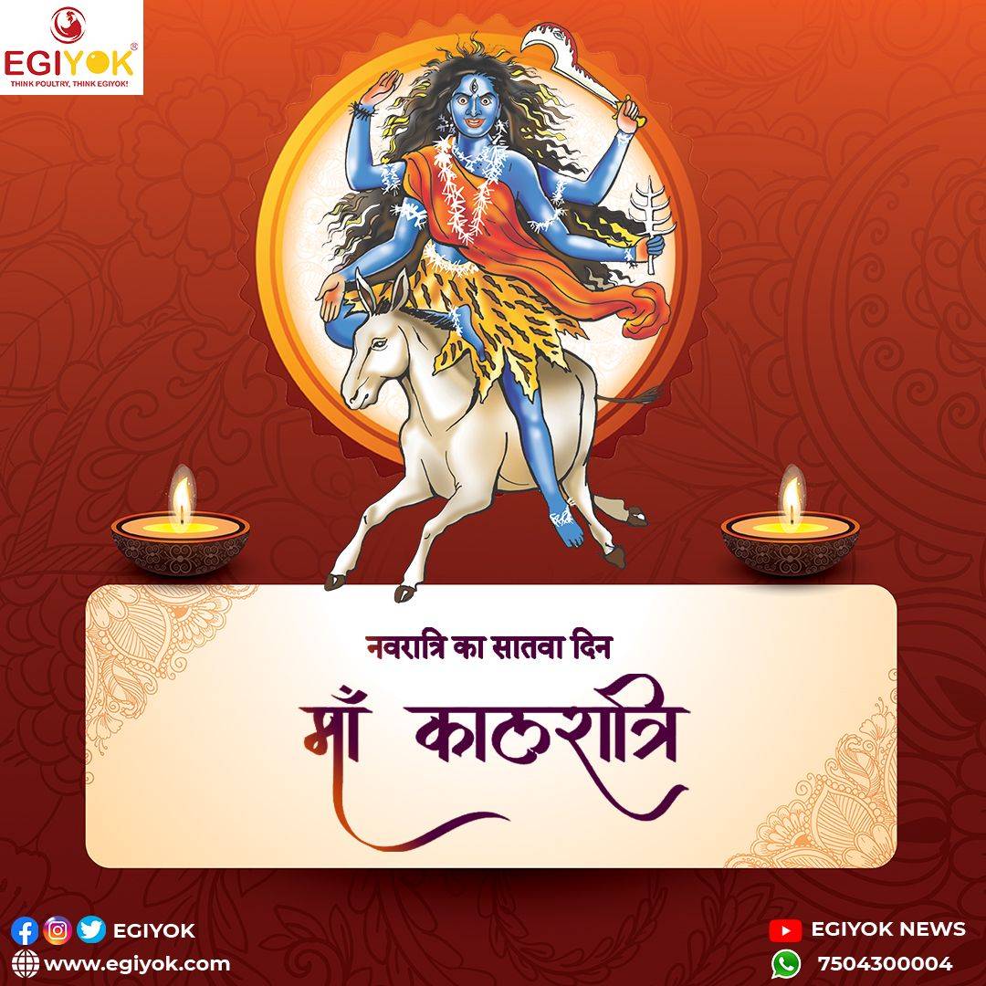 egiyokofficial's tweet photo. The 7th day of Navratri is of Goddess Kaalratri. She has a third eye on her forehead that is believed to contain the entire universe.
. 
. 
. 
#7thnavratri #durgamaa #durgapuja #navratrivibes #navratri2022 #navratri #maadurga #jaimatadi #egiyok #egiyoknews #poultry https://t.co/7aSpqqB1Jn