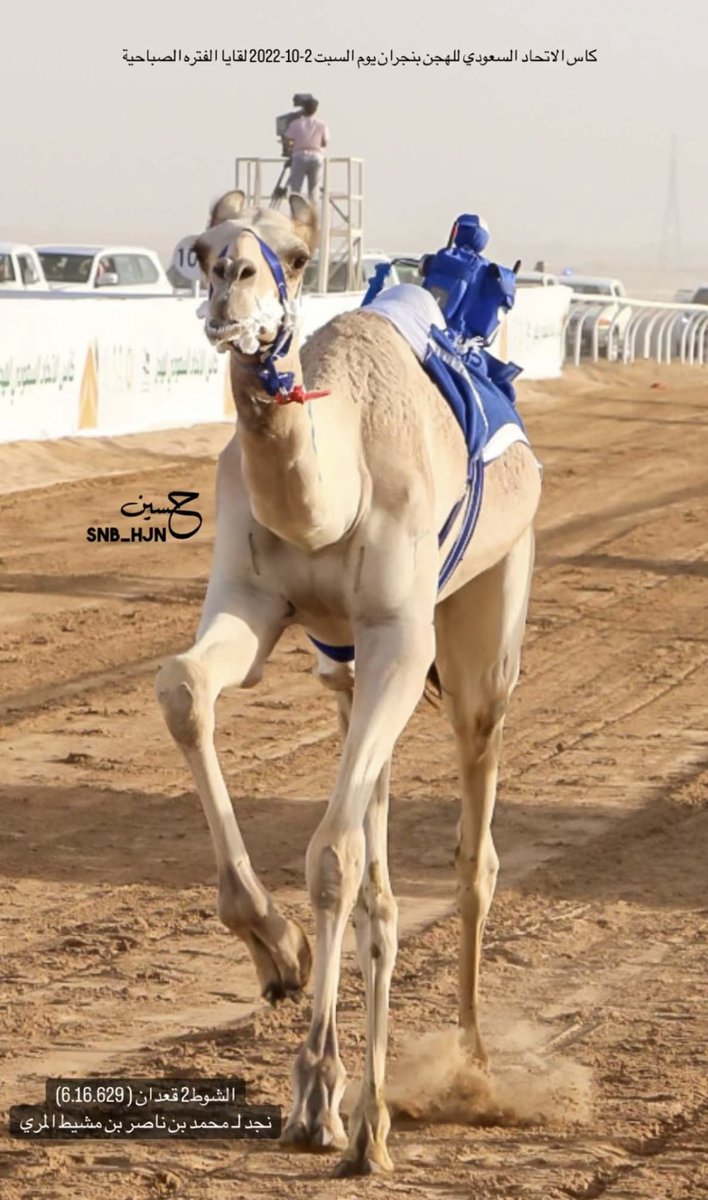 صالح النابت 🇸🇦 tweet media