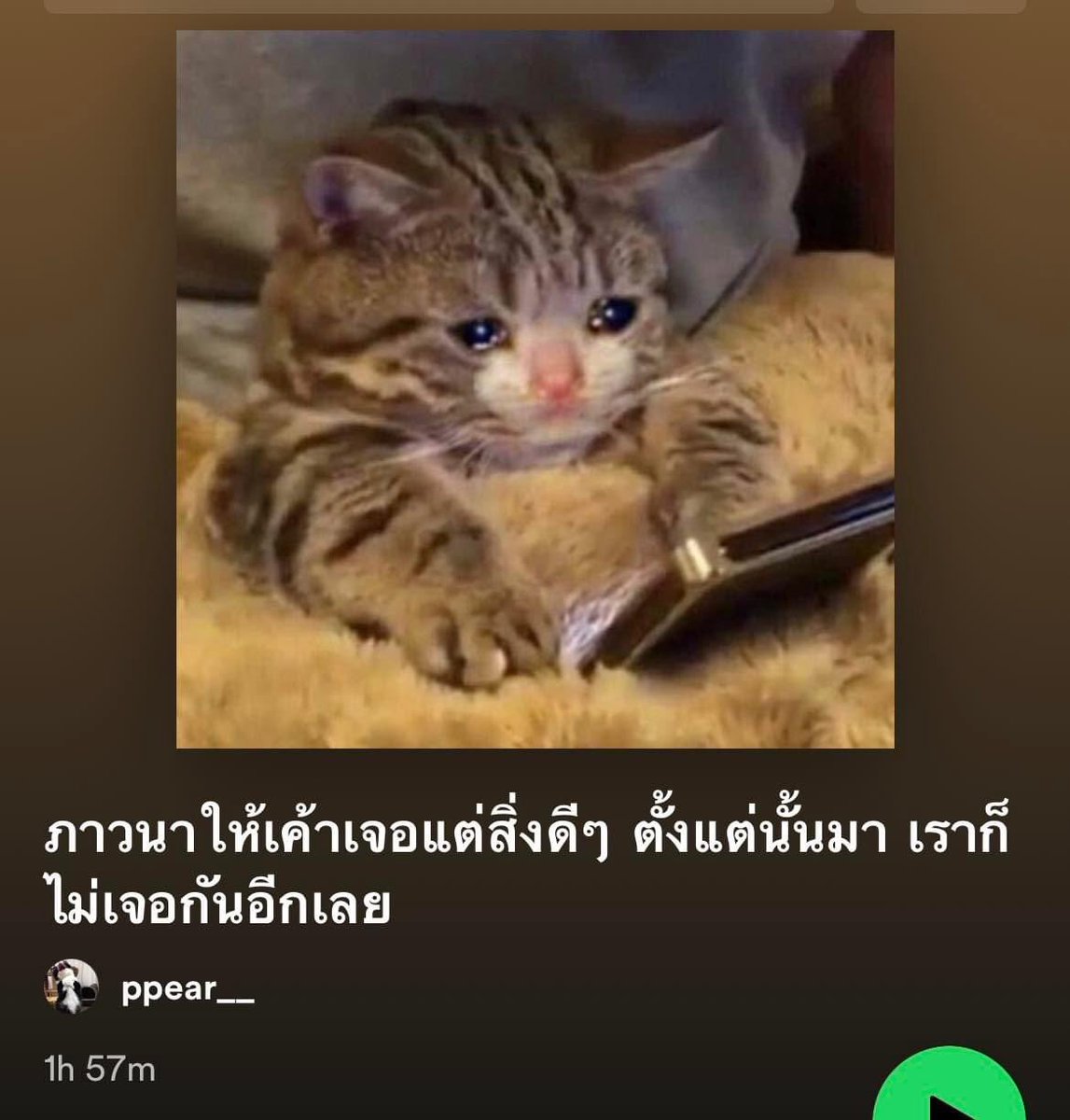 เพลงนี้เพื่อเธอ tweet media