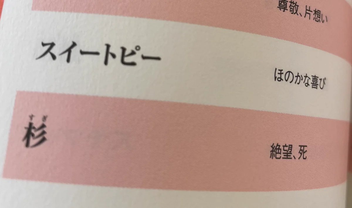 これ考えたやつ絶対○○○！？杉の花言葉を知っていますか？