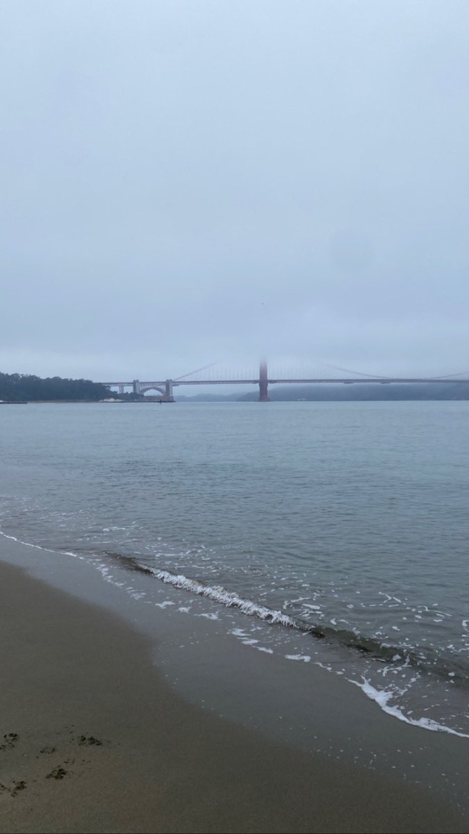 flojo_moon's tweet photo. @KarlTheFog @nytimes Nope no fog at all just his morning https://t.co/r8Us8D6n5L