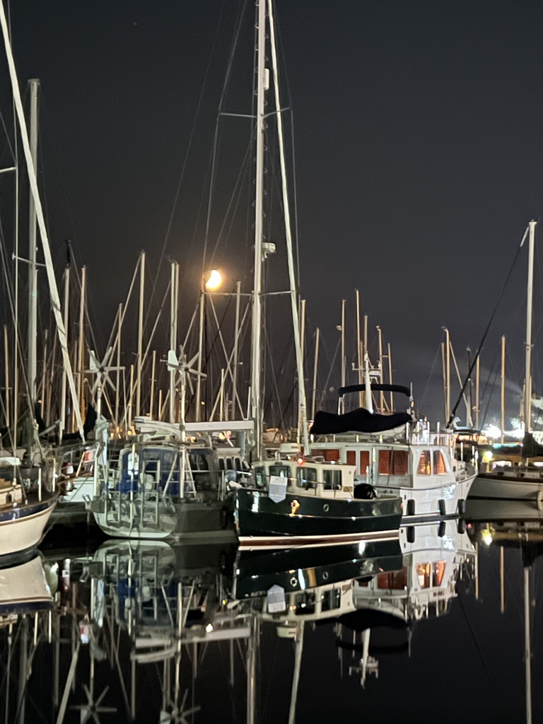 mtomas's tweet image. Moonset in Port Townsend