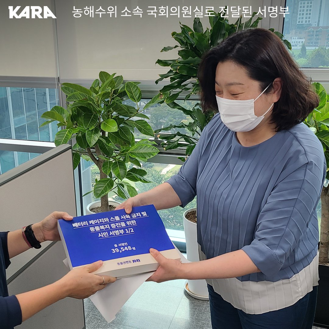 ekara_org's tweet photo. 10월 2일, 오늘은 올해로 40번째 맞는 세계 농장동물의 날입니다! 
카라는 세계 농장동물의 날을 앞둔 9월 30일, 국회 농해수위 소속 19명 의원실에 감금틀 추방을 염원하는 39,548명 시민의 목소리가 담긴 서명부를 전달했습니다.

✅ 자세히 보기 https://t.co/R2ZYW2kynh https://t.co/rq27VD4188