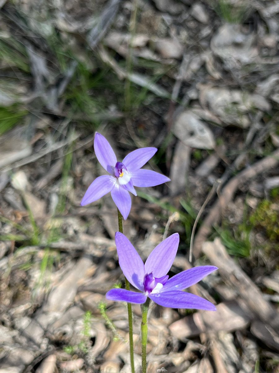 Cameron Tasker tweet media