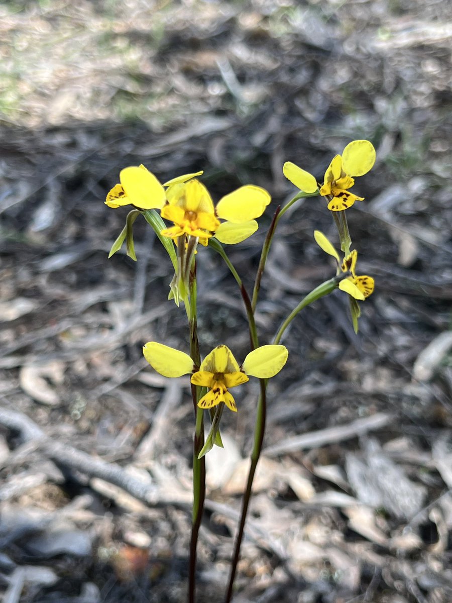 Cameron Tasker tweet media