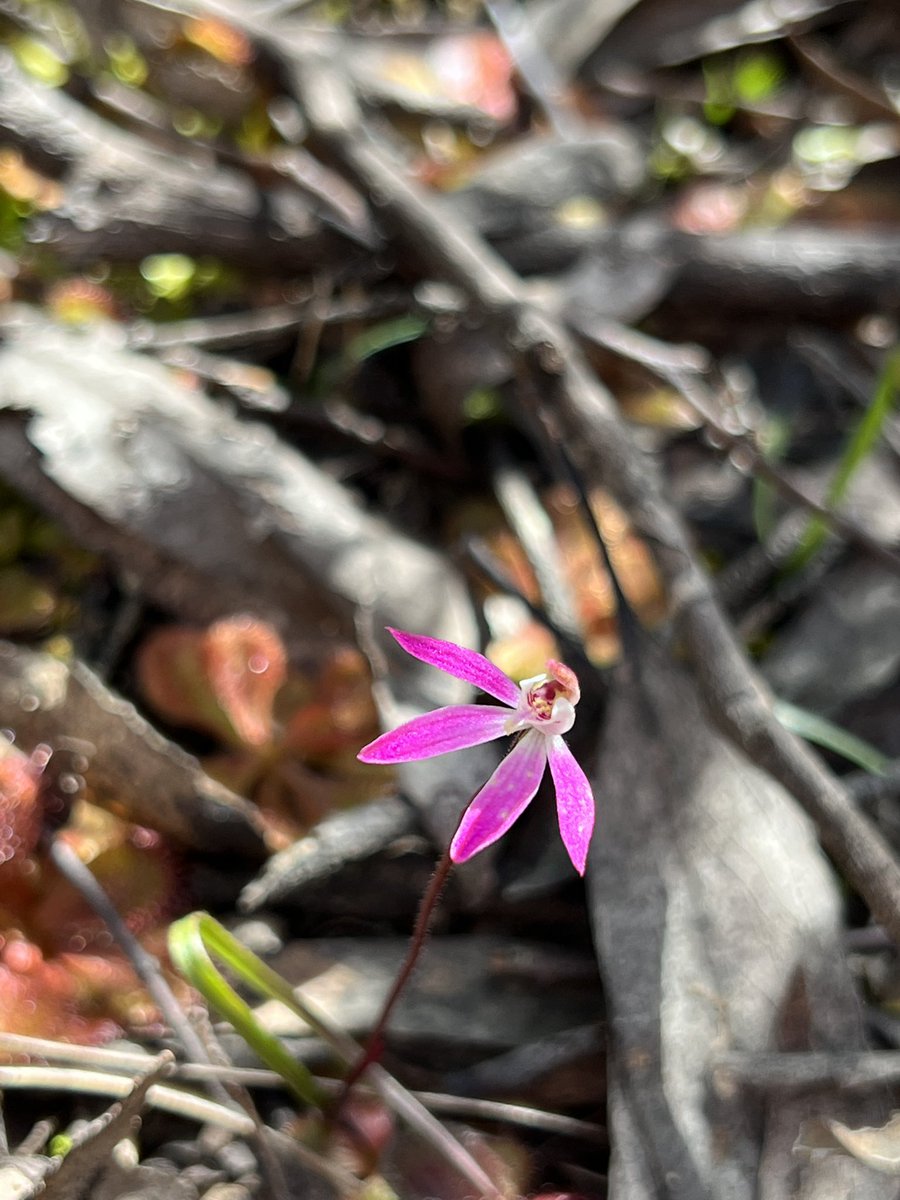 Cameron Tasker tweet media