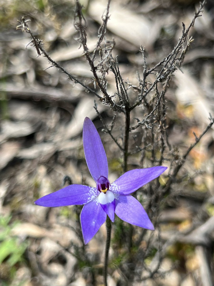 Cameron Tasker tweet media