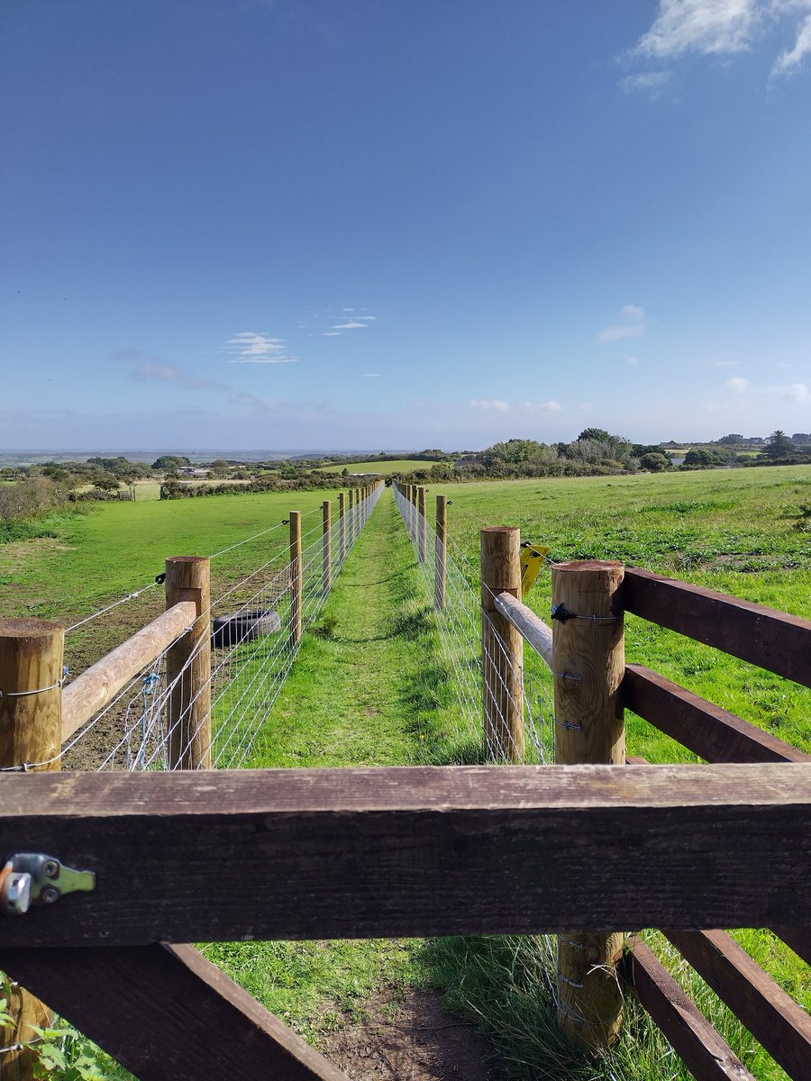 James Duffy tweet media