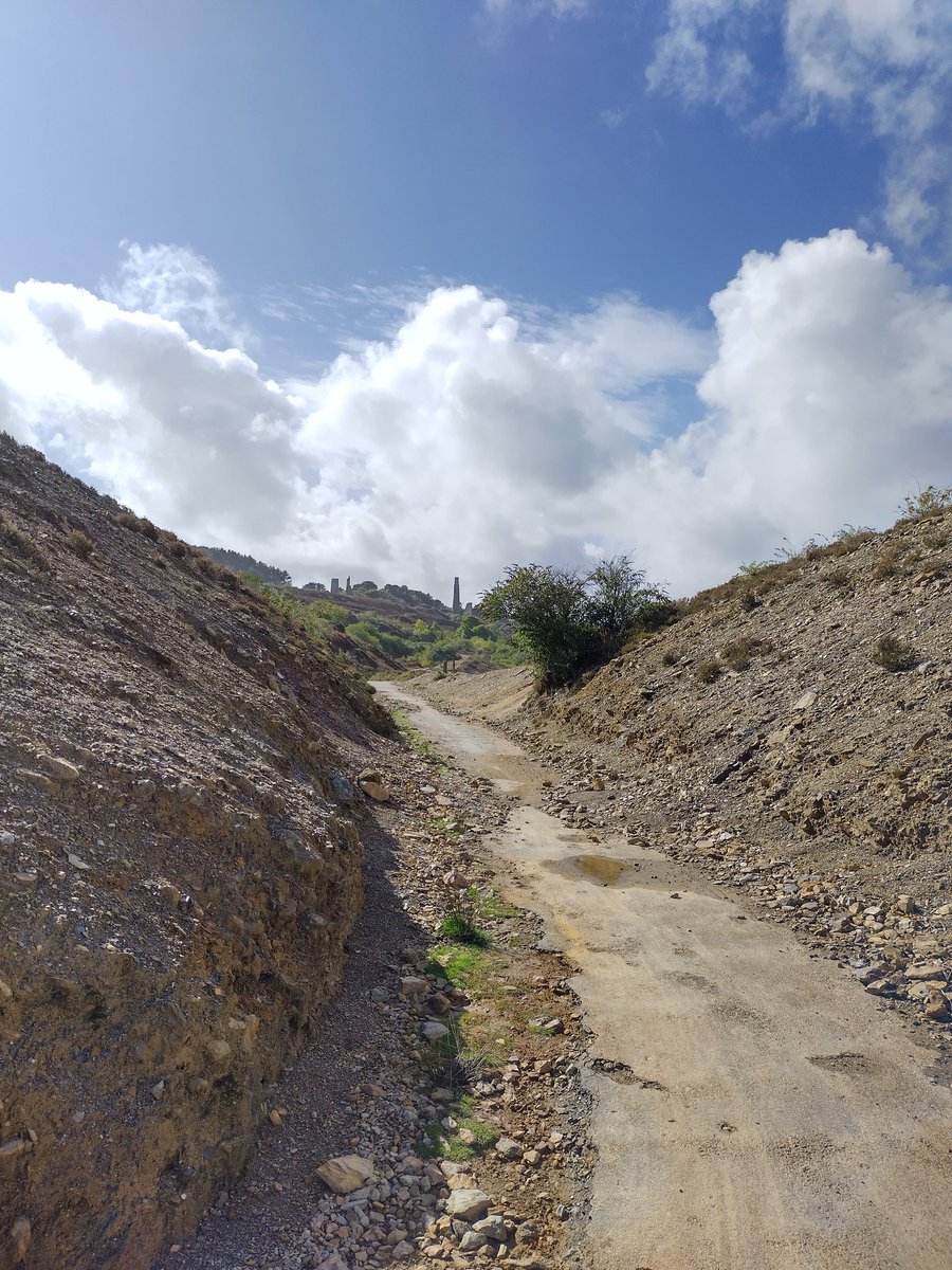 James Duffy tweet media