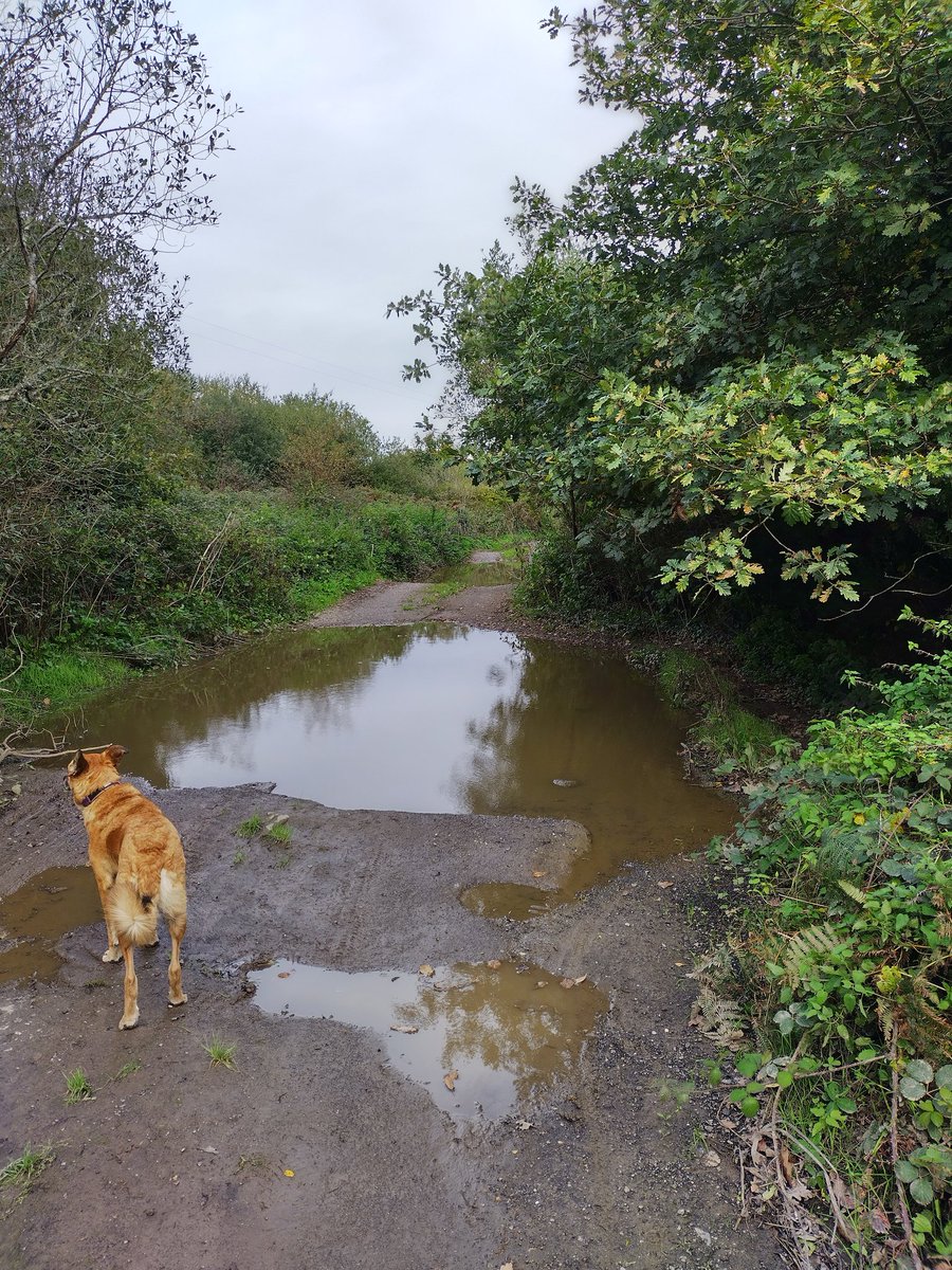 James Duffy tweet media