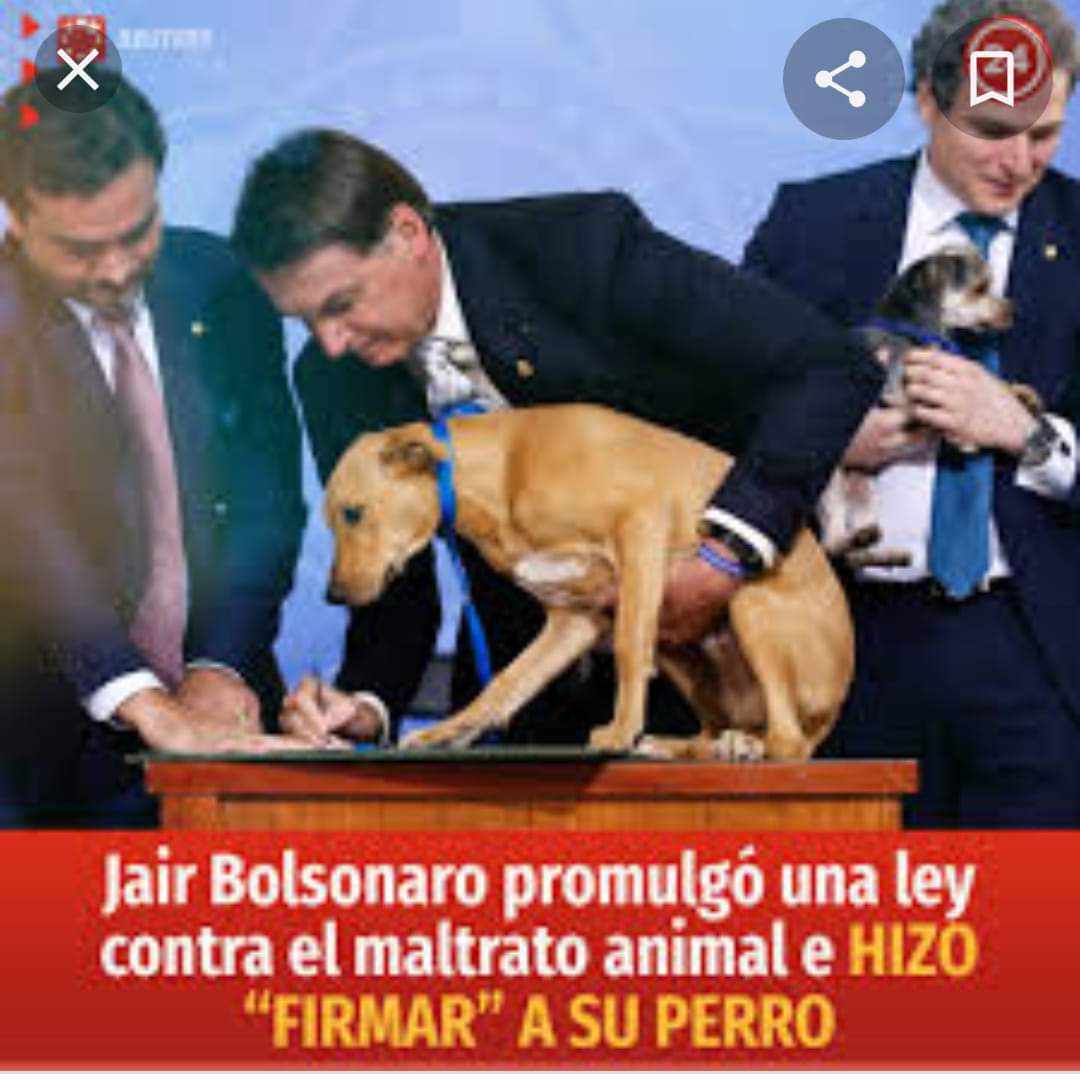 Dios le de la victoria hoy al Presidente Jair Bolsonaro!!