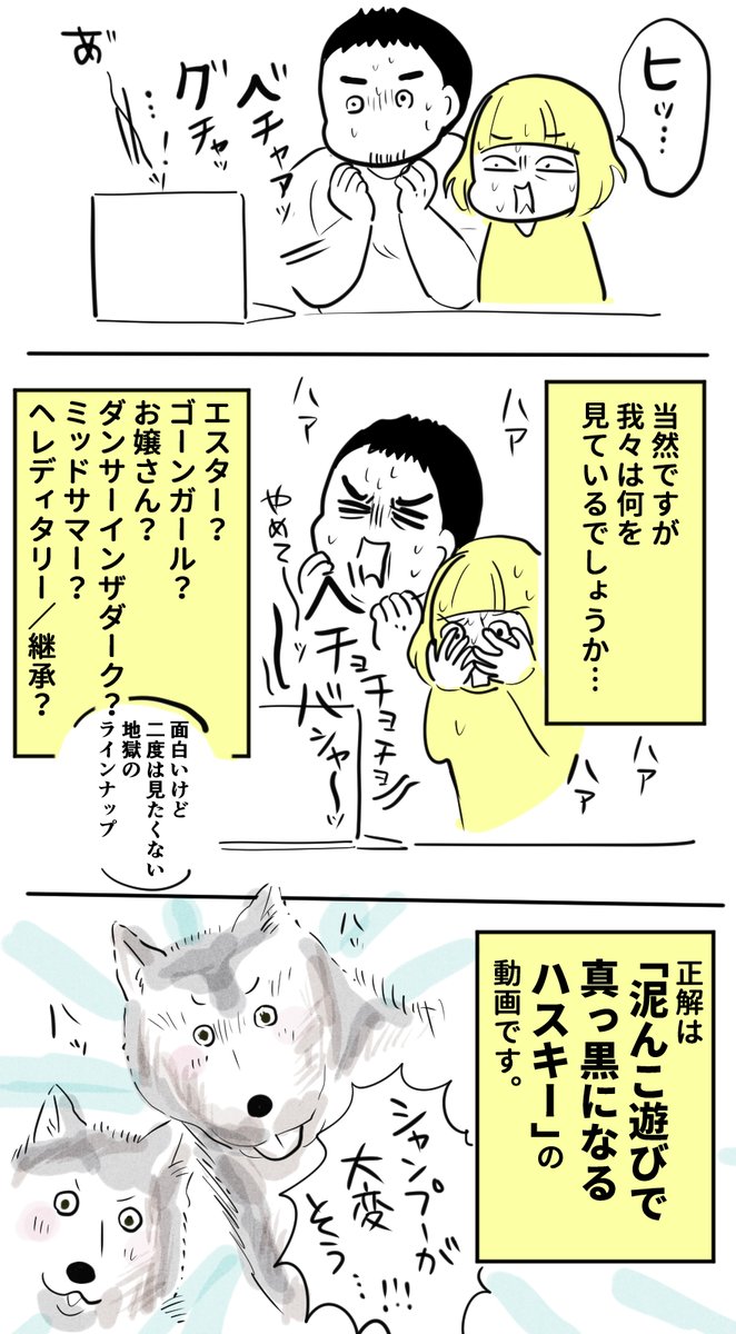 何回も見ちゃう…これはシャンプーしがいがありそうhttps://t.co/88vjH3onto 