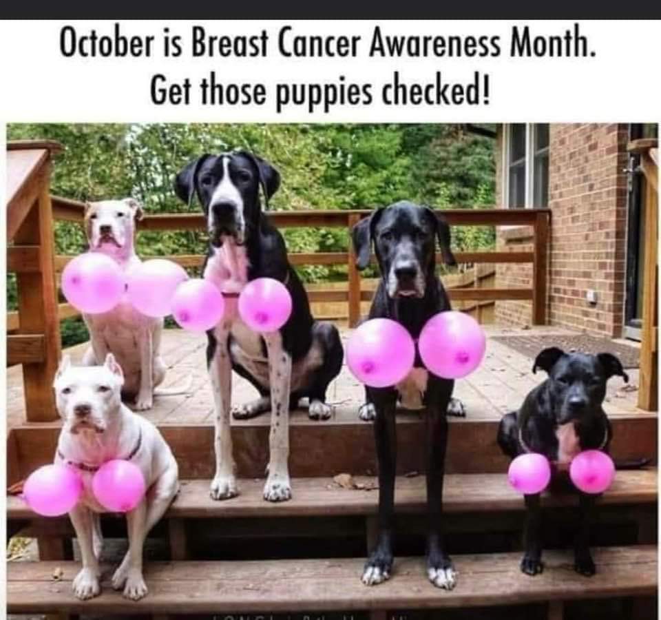 anothercc's tweet photo. #BreastCancerAwarenessMonth #GetThosePuppiesChecked
#SelfExams #Mammograms https://t.co/OGxcHS7kmp