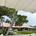 ツイートに含まれる画像